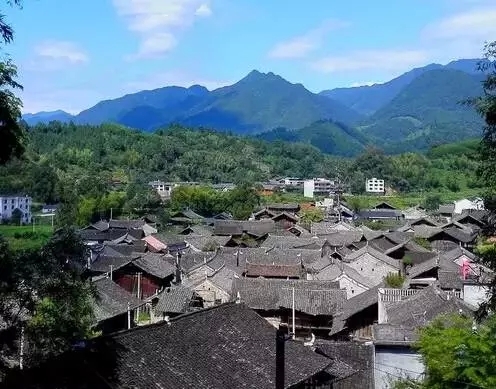 大园村w.jpg